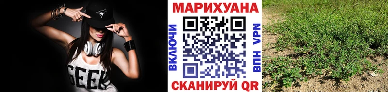 Бошки марихуана семена  Белореченск 